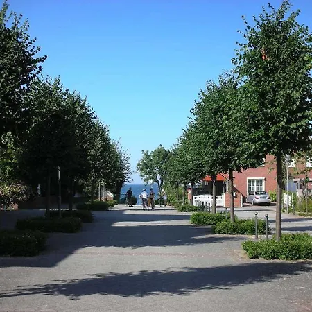 Apartment _ost6_ _ Treibholz *